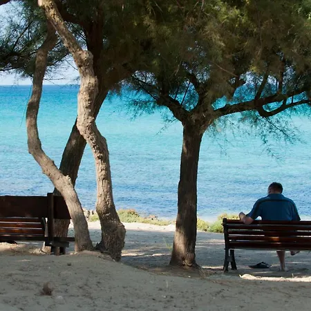 Torre Castiglione Campsite *