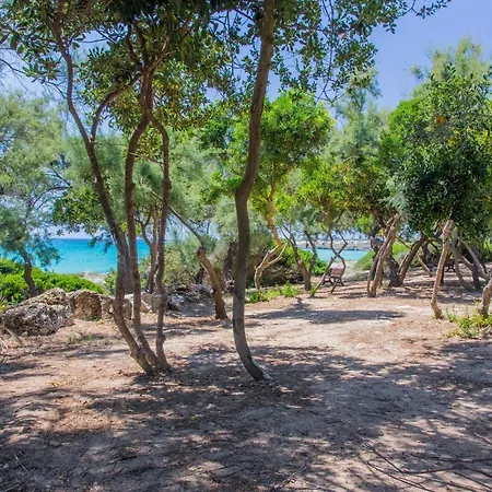 Torre Castiglione Campsite *