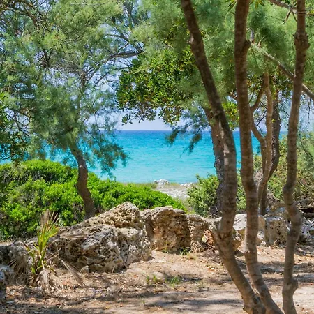 Campsite Torre Castiglione *