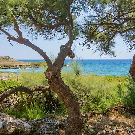 Torre Castiglione Camping Torre Lapillo