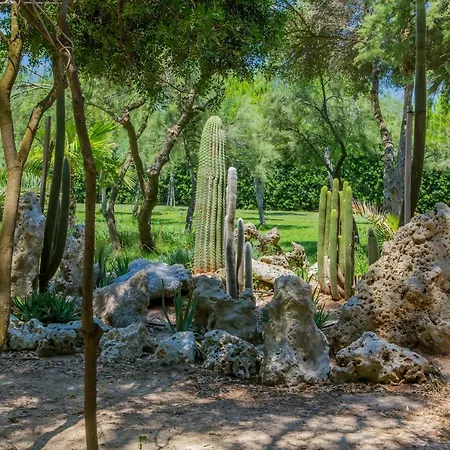 Campsite Torre Castiglione *