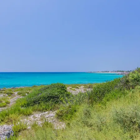 Campsite Torre Castiglione