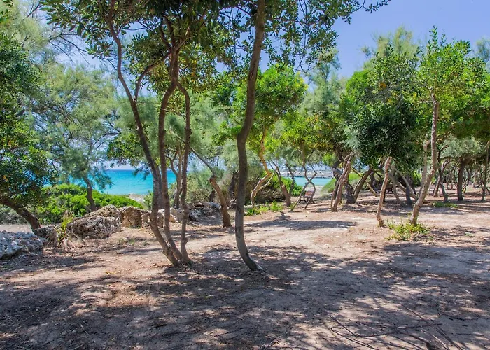 Torre Castiglione Camping *