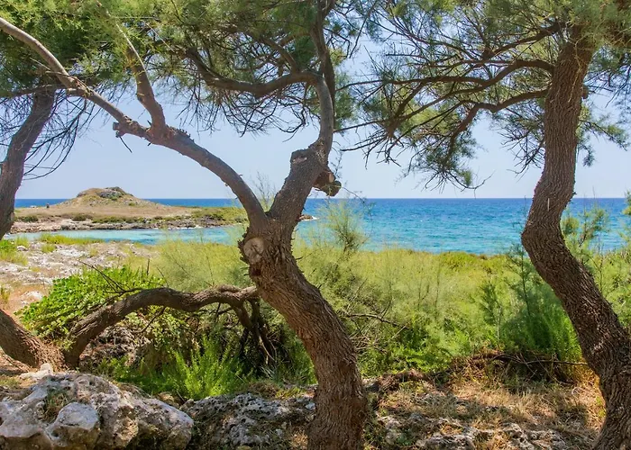 Torre Castiglione Camping Torre Lapillo