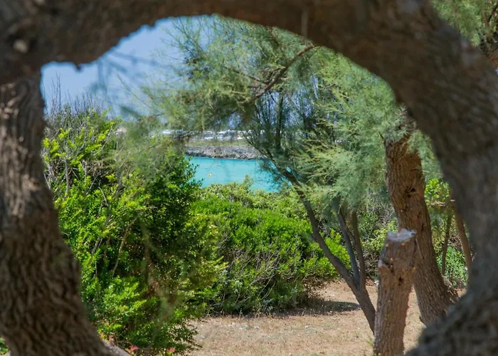 Torre Castiglione Camping