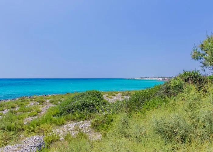 Camping Torre Castiglione